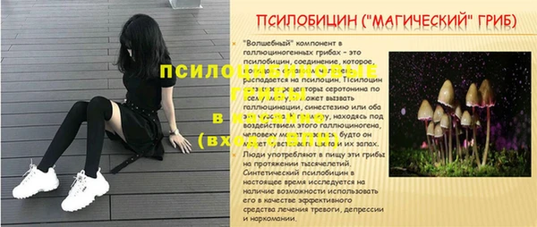 молекула духа Лихославль