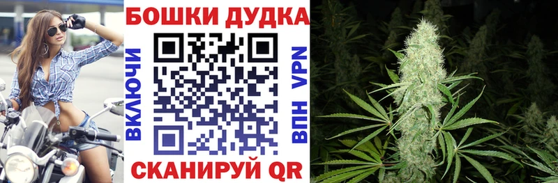 Купить  Камешково  Марихуана индика 